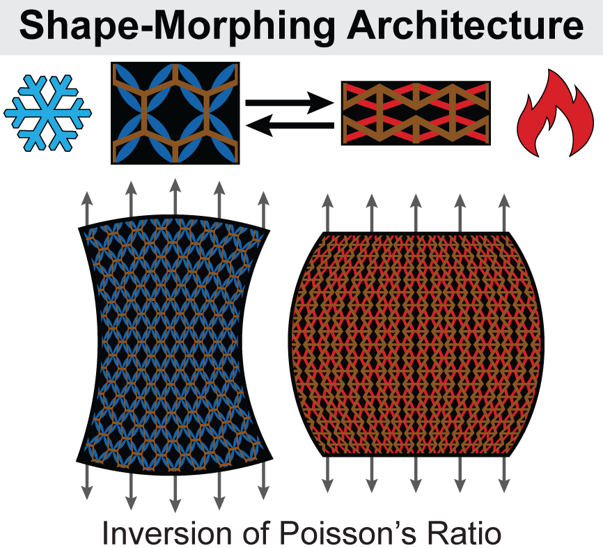 Our manuscript is published in Advanced Science!