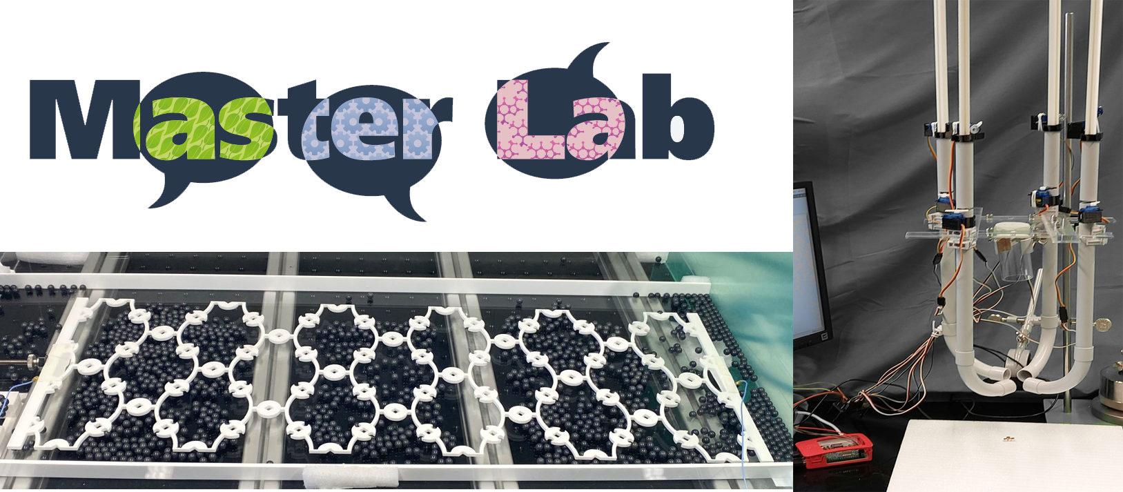 Success of MasterLab Program